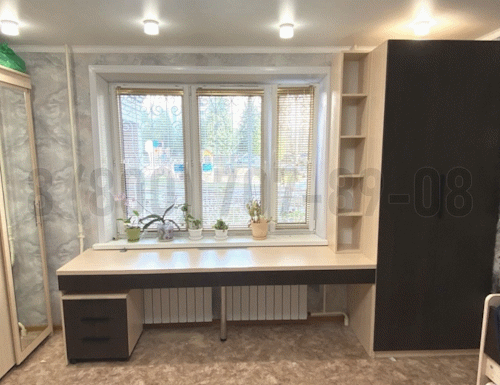 Рабочая зона модель r106 купить в Ивантеевке