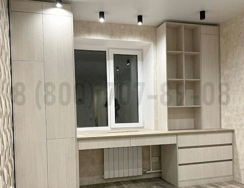 Рабочая зона модель r243 купить в Ивантеевке