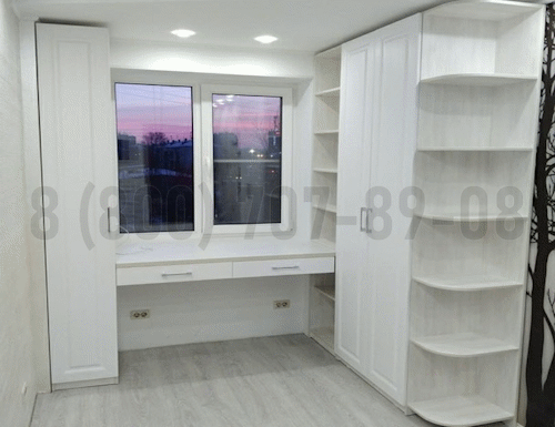 Рабочая зона модель r250 купить в Ивантеевке